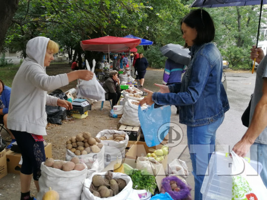 В Киеве до 3 октября проходят продуктовые ярмарки: адреса распродаж