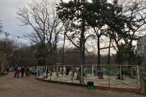 Лето не за горами: Зеленый театр в Одессе открыл новый сезон