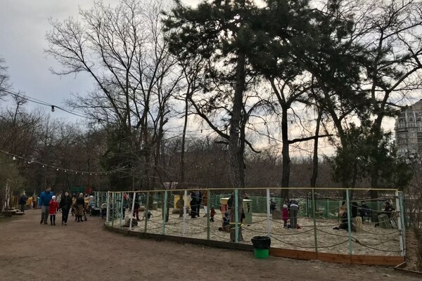 Лето не за горами: Зеленый театр в Одессе открыл новый сезон