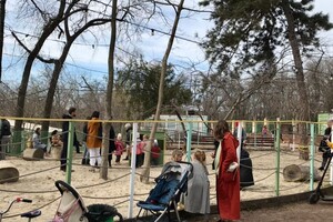 Лето не за горами: Зеленый театр в Одессе открыл новый сезон