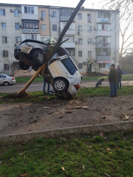 На Генерала Петрова машина повисла на дереве
