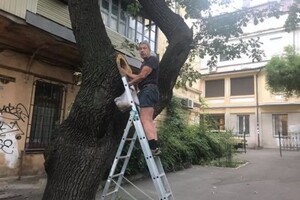 За мини-сад и ремонт подъезда: в Одессе женщина подала в суд на соседа