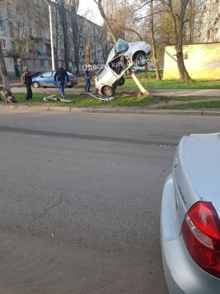 На Генерала Петрова машина повисла на дереве