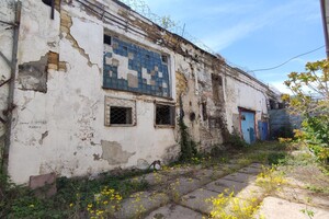 Одесскую колонию предлагают приватизировать: во сколько ее оценили