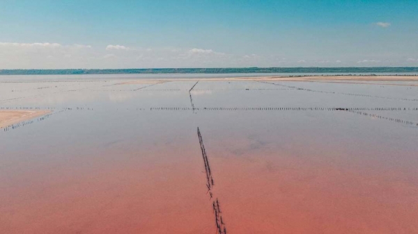 В Куяльнике порозовела вода 