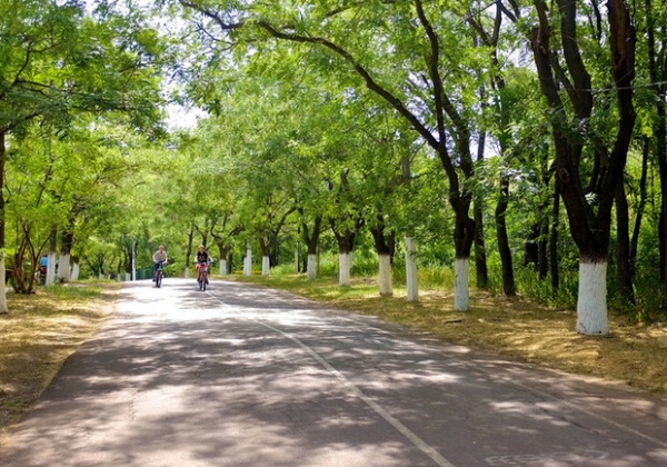  НА ТРАССЕ ЗДОРОВЬЯ СТОЛКНУЛИСЬ ЭЛЕКТРОСАМОКАТЫ: ПАРНЮ ПРОЛОМИЛО ЧЕРЕП