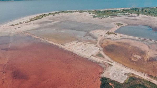 В Куяльнике порозовела вода 
