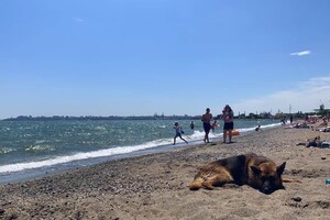 Укромное местечко: прогулка на пляж "Зерновой" в Одессе 