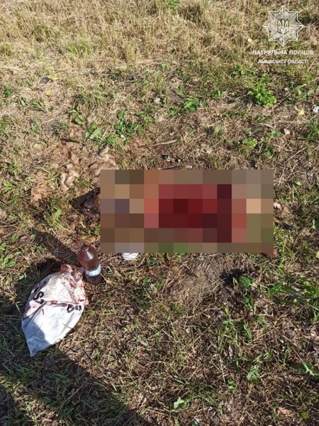 Невиправдана жорстокість: під Львовом чоловік шматком скла розчленував собаку