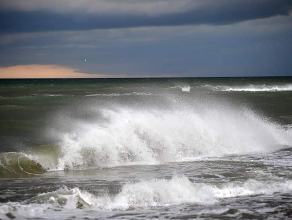 Потенційно токсичні бактерії: в Одесі «зацвіло» море