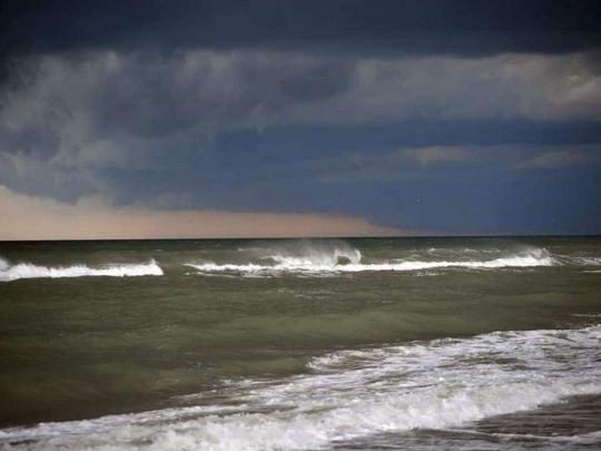 Потенційно токсичні бактерії: в Одесі «зацвіло» море