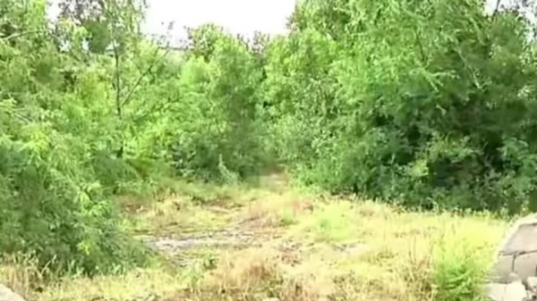 В Никополе 15-летнего парня подозревают в убийстве сверстницы