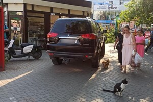 С фантазией все в порядке: свежая фотоподборка наглых водителей в Одессе