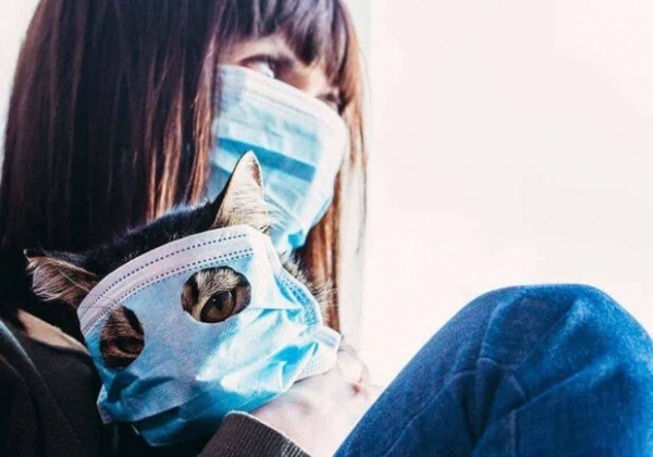 Почти в два раза больше заболевших: какая статистика Covid-19 в Одесской области на сегодня