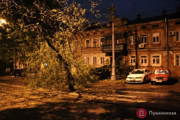 На Колонтаевской дерево упало на автомобиль и это не единственная «жертва» ночного ливня. Фото