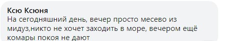 «Два дні протрималися і поїхали»: туристи не витримують «сусідства» з навалою медуз на Федотовій косі