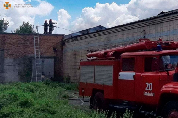 В Измаиле на территории мясокомбината произошел пожар. Фото