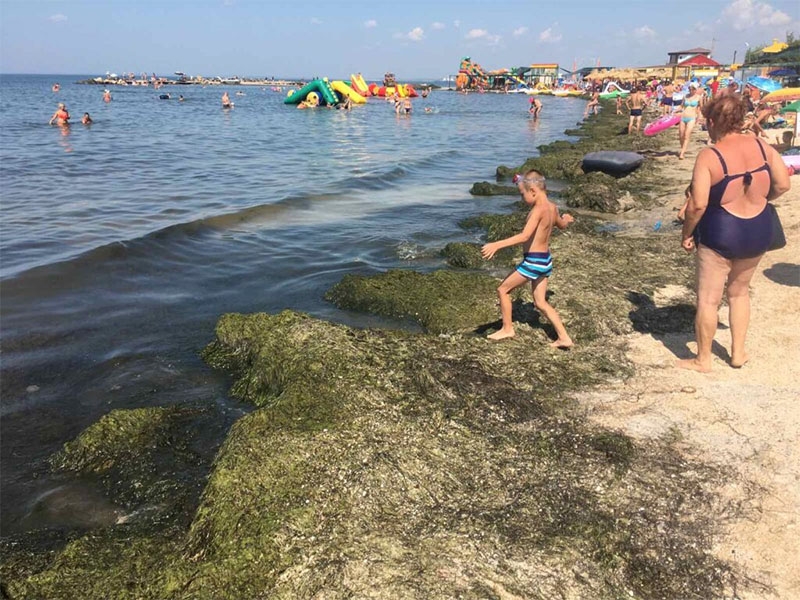 Вигрібають тоннами: в Бердянську у курортників нова проблема