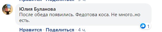 «Всіх з'їли?»: туристи розповіли про ситуацію з медузами на Федотовій косі