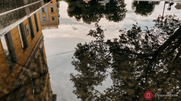 Центр Одессы после первого августовского дождя. Фоторепортаж