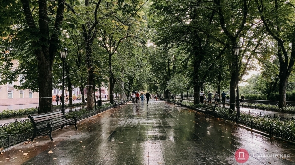 Центр Одессы после первого августовского дождя. Фоторепортаж