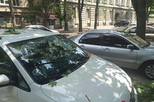Подул ветерок: в центре Одессы массивная ветка раздавила два авто