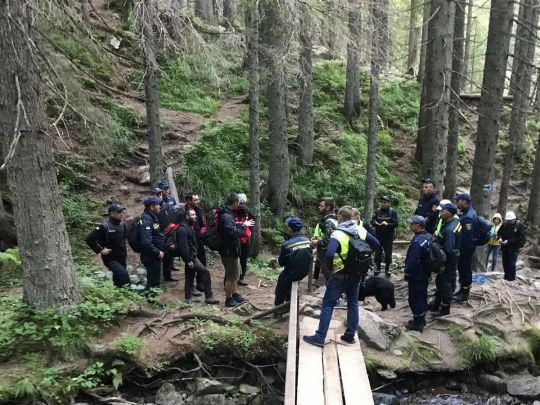 Знайдено зниклого на Говерлі 6-річного хлопчика