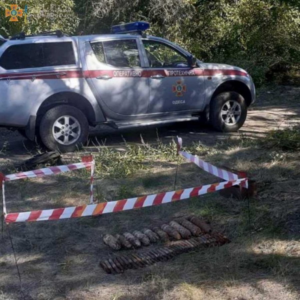 Сапёры собирают артснаряды времён войны в лесу под Березовкой 