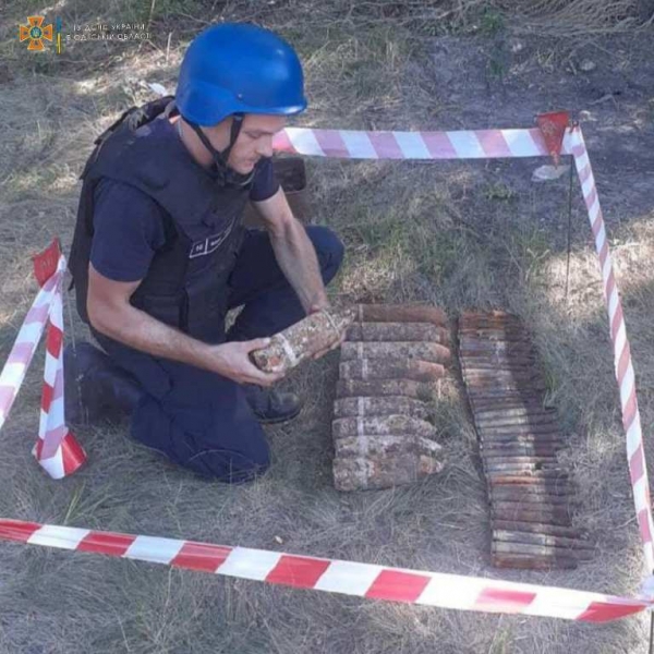 Сапёры собирают артснаряды времён войны в лесу под Березовкой 