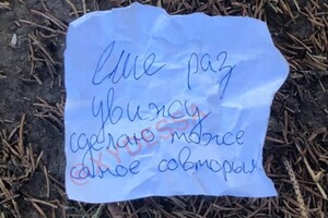 Выколол глаза за испорченный газон: в Одессе мужчина жестоко убил соседского кота