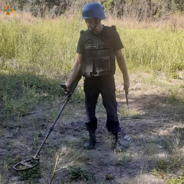 Сапёры собирают артснаряды времён войны в лесу под Березовкой 
