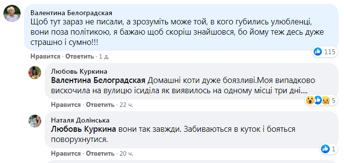 Мер Львова втратив улюбленого кота: реакція мережі