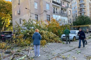 Падают деревья: в Одессе объявили штормовое предупреждение
