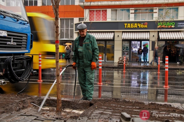 У одесского «Привоза» высадили первые 28 акаций из обещанной мэром тысячи. Фото