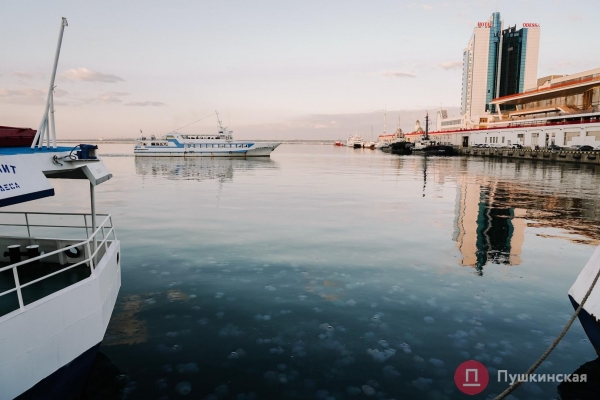 Полчища медуз и нежный закат: фоторепортаж с одесского морвокзала