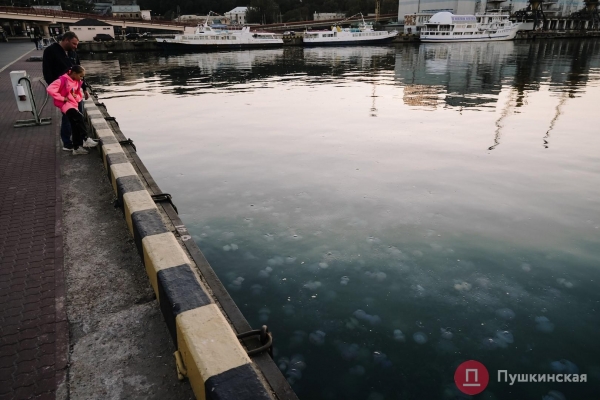 Полчища медуз и нежный закат: фоторепортаж с одесского морвокзала