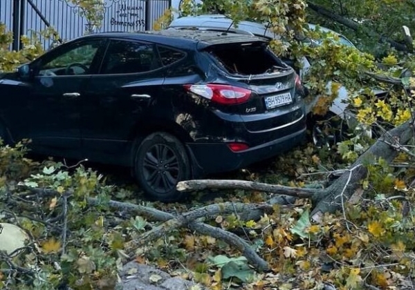 Падают деревья: в Одессе объявили штормовое предупреждение