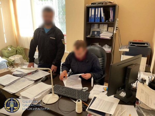 Срубил три сотни деревьев: одесский лесничий сам оказался браконьером 