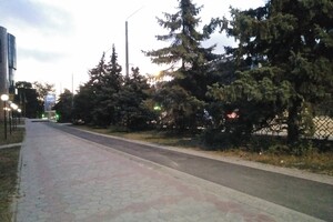 Реконструкция с нарушением норм: на Черняховского появилась первая велодорожка