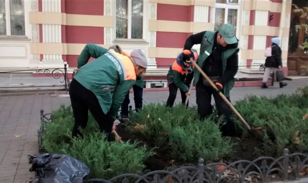 У въезда в Одессу высаживают живую изгородь из спиреи