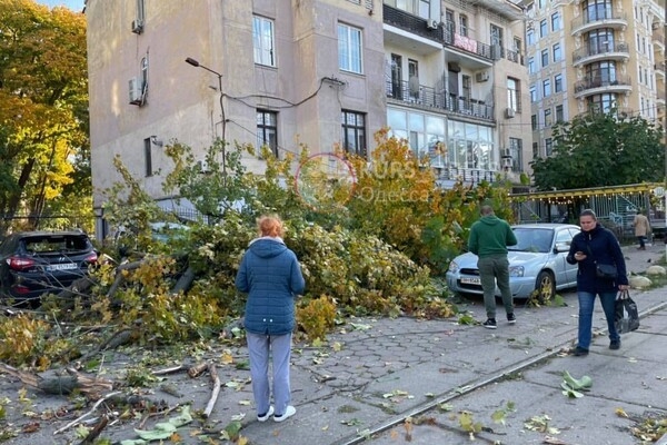 Падают деревья: в Одессе объявили штормовое предупреждение