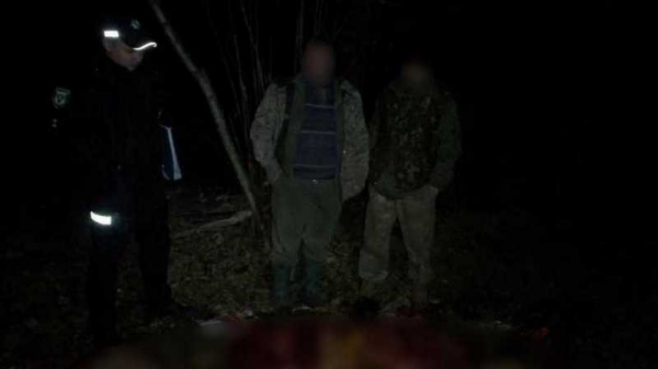 На Черниговщине убийца лося умер, скрываясь с места преступления