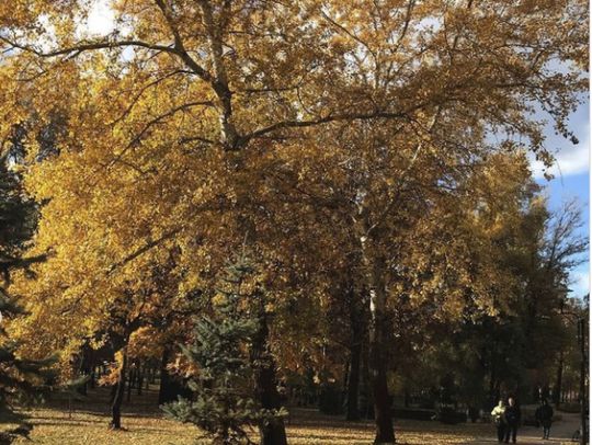 В Україні знову похолодає: в яких регіонах чекати зміни погоди