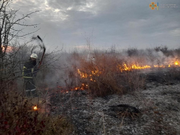 За селом в Болградском районе сгорели полтора гектара сухой травы и кустов 