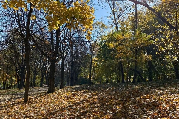 В Одессе реконструируют Дюковский парк