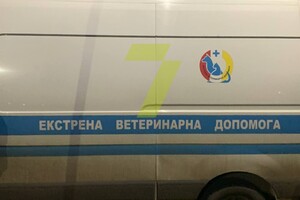На Фонтане ловили двух алабаев, которые покусали людей: их временно усыпили