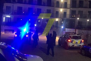 На Фонтане ловили двух алабаев, которые покусали людей: их временно усыпили