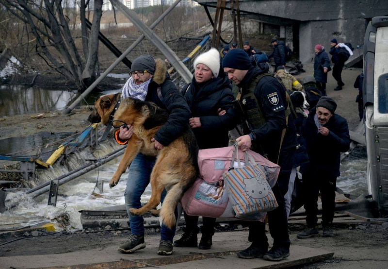 Хтось несе свою тварину 17 км, а хтось дзвонить ветеринарам і цікавиться евтаназією, — волонтер Віталій Дайнега