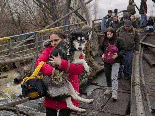 Хтось несе свою тварину 17 км, а хтось дзвонить ветеринарам і цікавиться евтаназією, — волонтер Віталій Дайнега