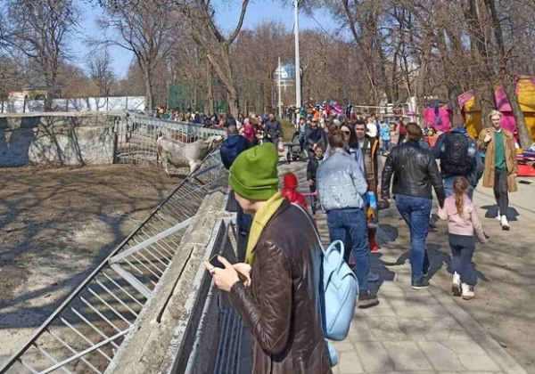 Арт-выставка военной сатиры и праздник в зоопарке: куда пойти в Одессе на этих выходных